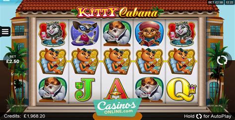 kitty cabana bonuses|Kitty Cabana Online Slot .